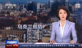 乌克兰新闻最新爆料视频,揭秘冲突背后惊人真相