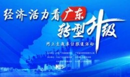 彩访广州爆料新闻,揭秘城市热点事件背后的真相